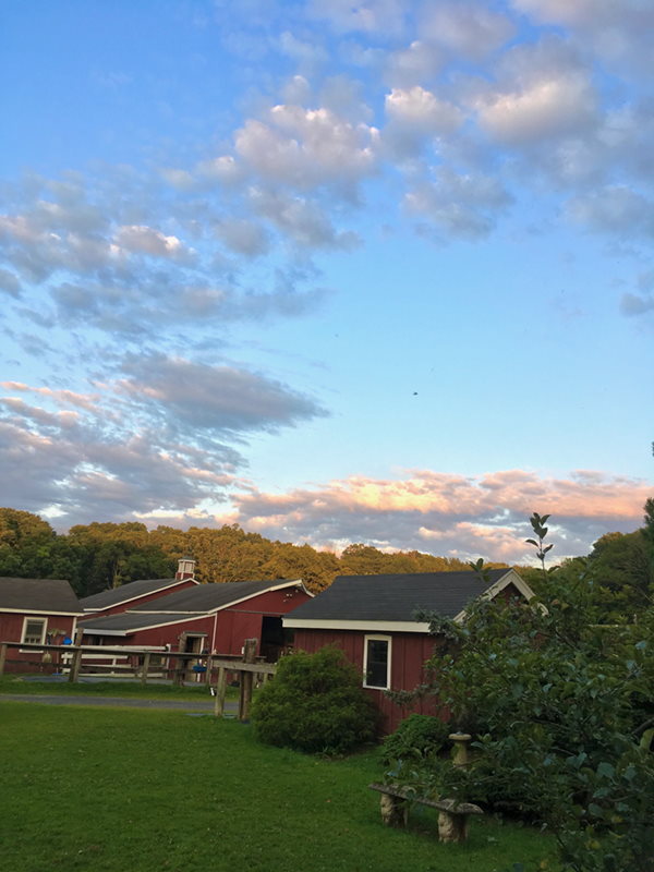 Farm and Sky