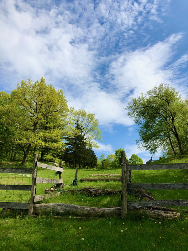 Landscape